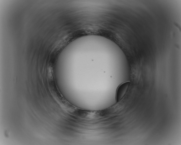 X0000099320130200805161410