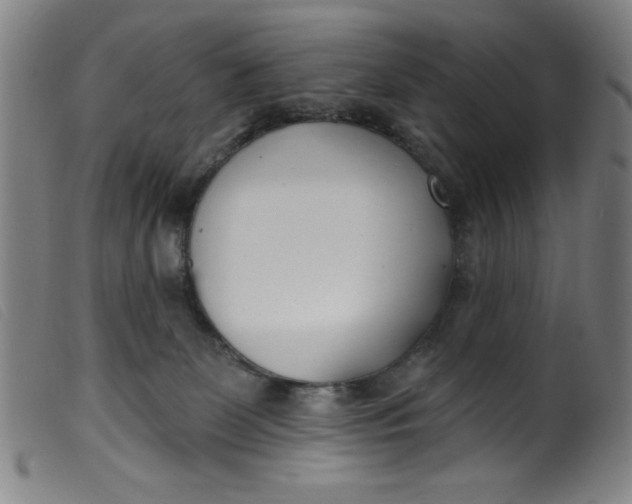 X0000099320131200805161410