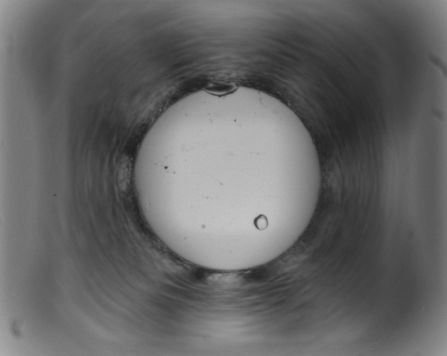 X0000099320133200805161410