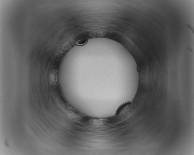 X0000099320134200805161410