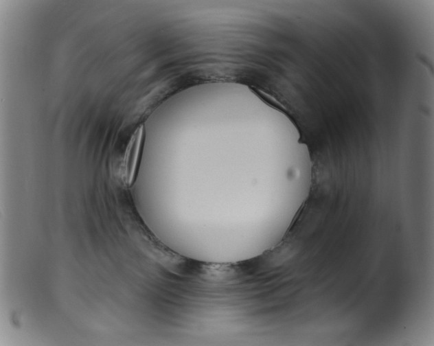 X0000099320141200805161409