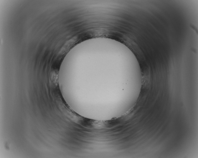 X0000099320142200805161409