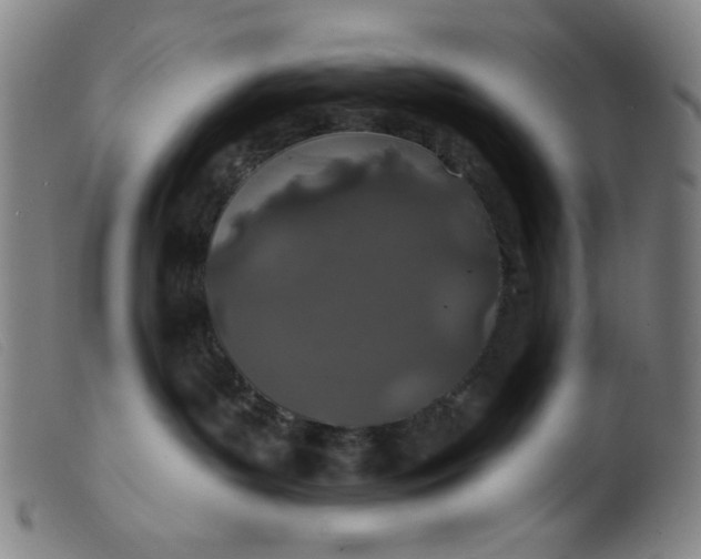 X0000099320143200805161409