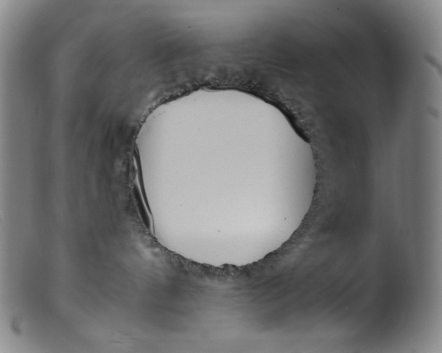 X0000099320144200805161409