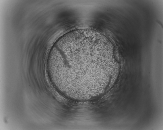 X0000099320145200805161408