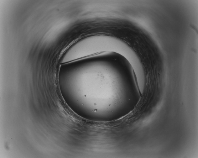 X0000099320146200805161408