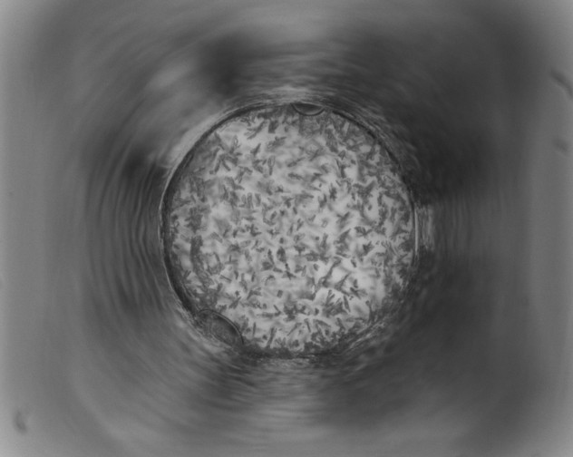 X0000099320147200805161408