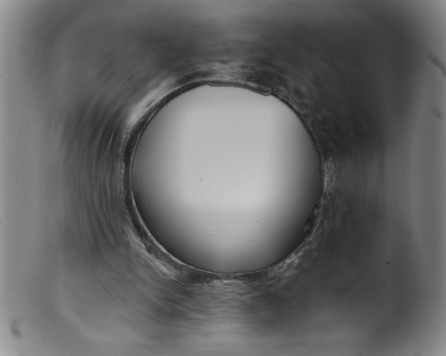 X0000099320150200805161408