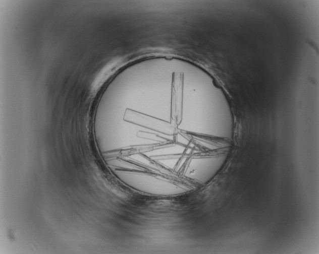 X0000099320151200805161408