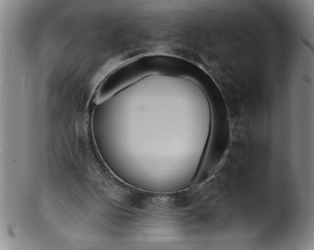 X0000099320152200805161408