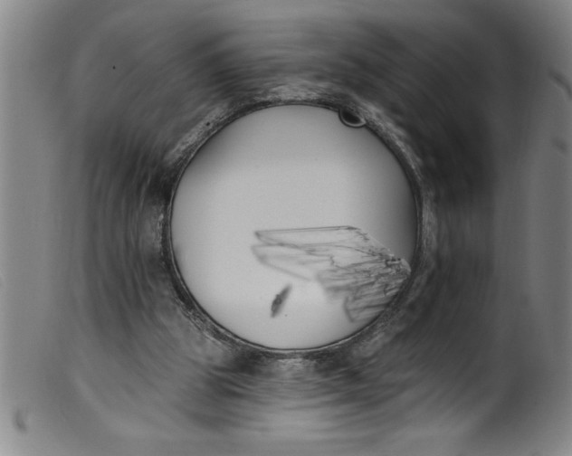 X0000099320153200805161408