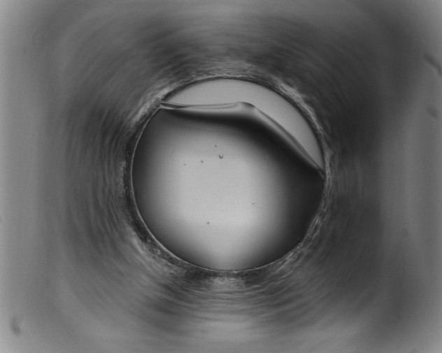 X0000099320154200805161409