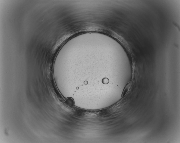 X0000099320155200805161409