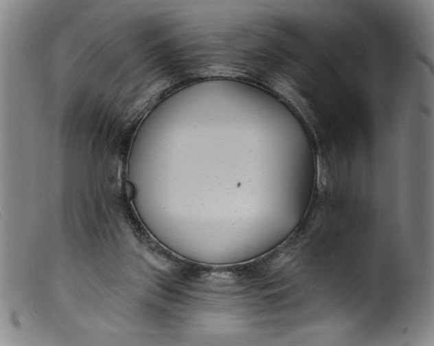 X0000099320157200805161409