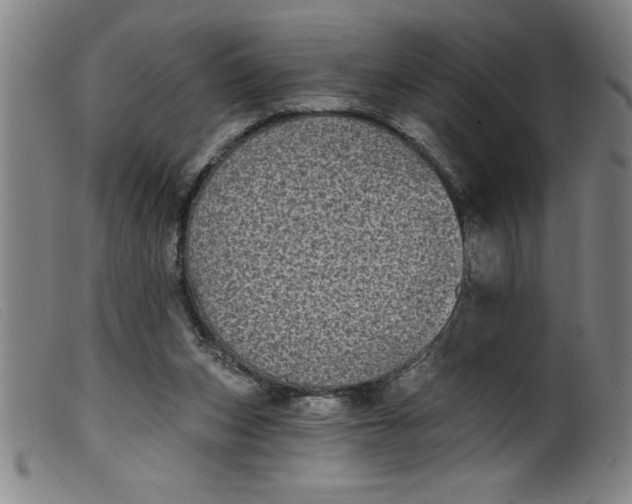 X0000099320159200805161409