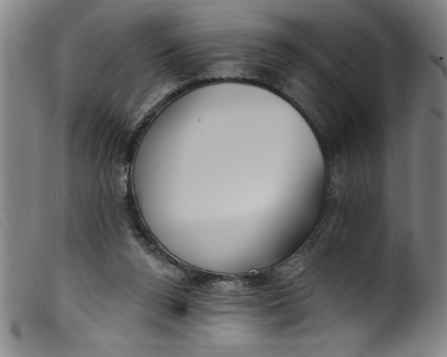 X0000099320160200805161409