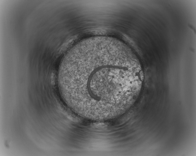 X0000099320161200805161409