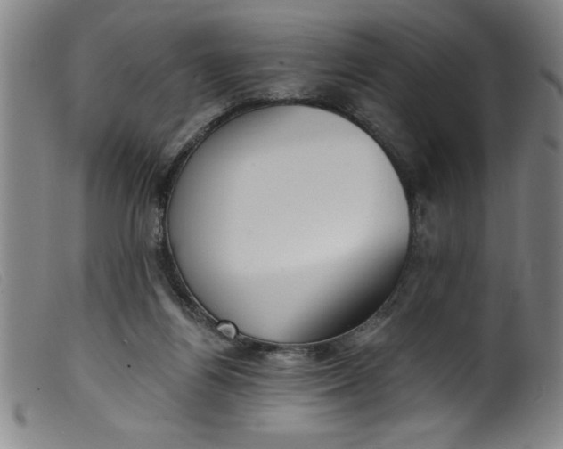 X0000099320164200805161409