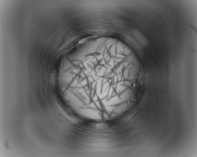 X0000099320165200805161409