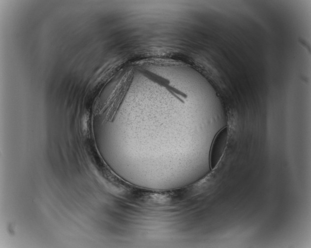 X0000099320166200805161409