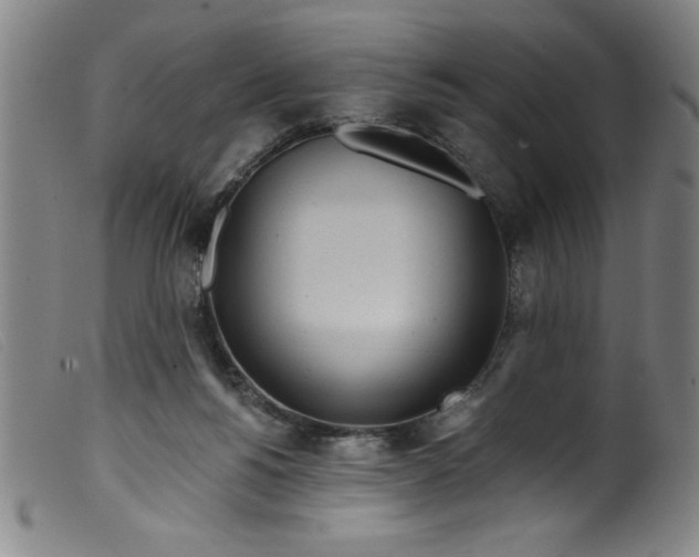 X0000099320168200805161409