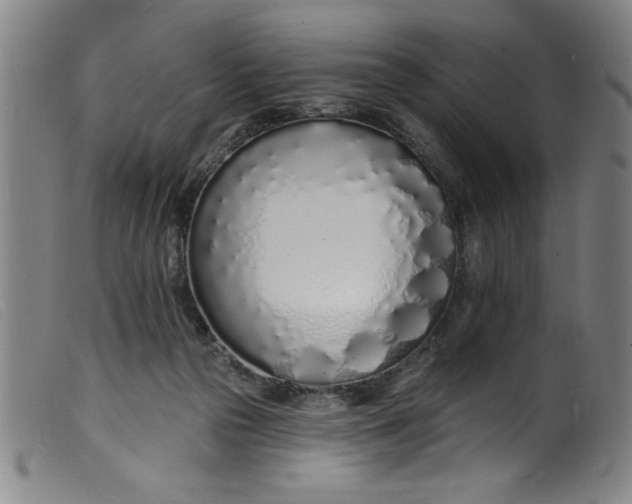 X0000099320169200805161409