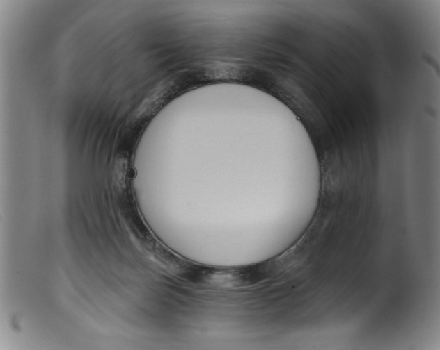 X0000099320171200805161409