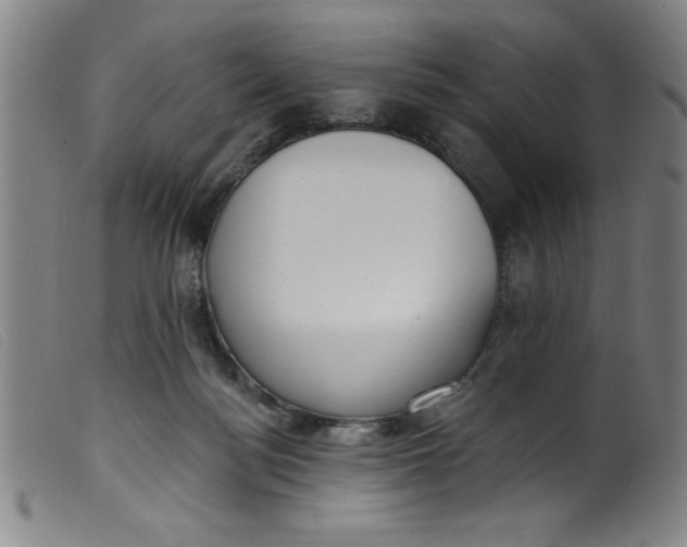 X0000099320172200805161409