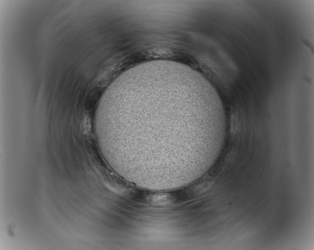 X0000099320173200805161409