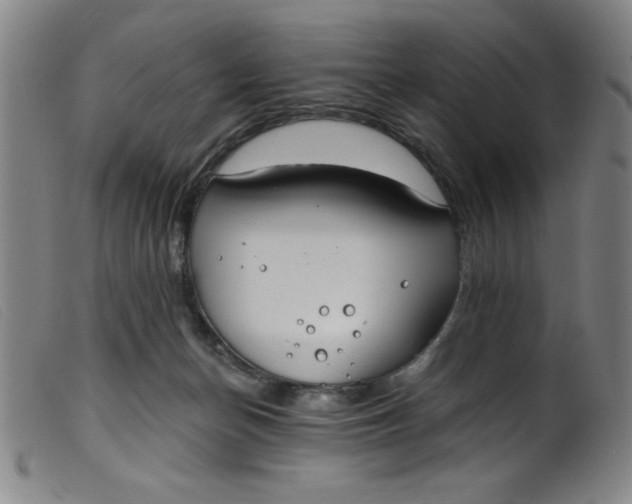 X0000099320174200805161409