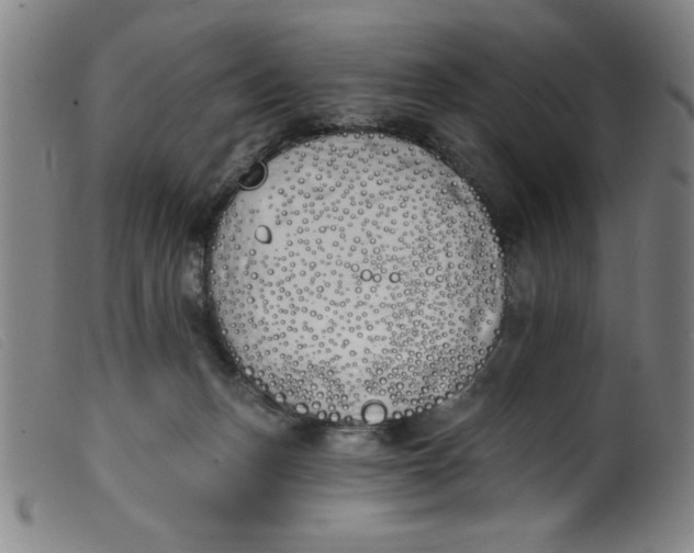 X0000099320175200805161409