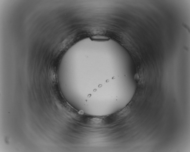 X0000099320176200805161409