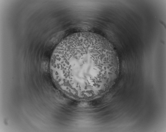 X0000099320177200805161409