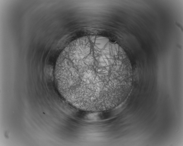 X0000099320178200805161409