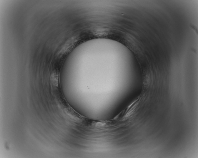 X0000099320180200805161409