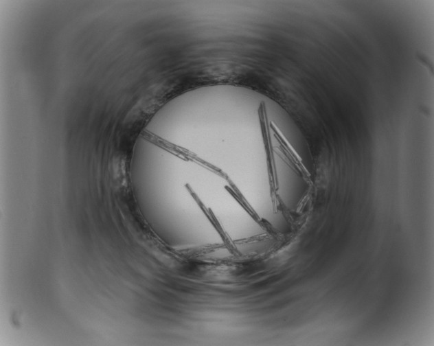 X0000099320182200805161409