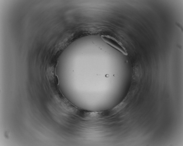 X0000099320184200805161409