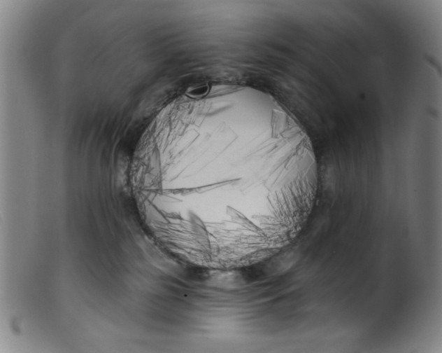 X0000099320185200805161409