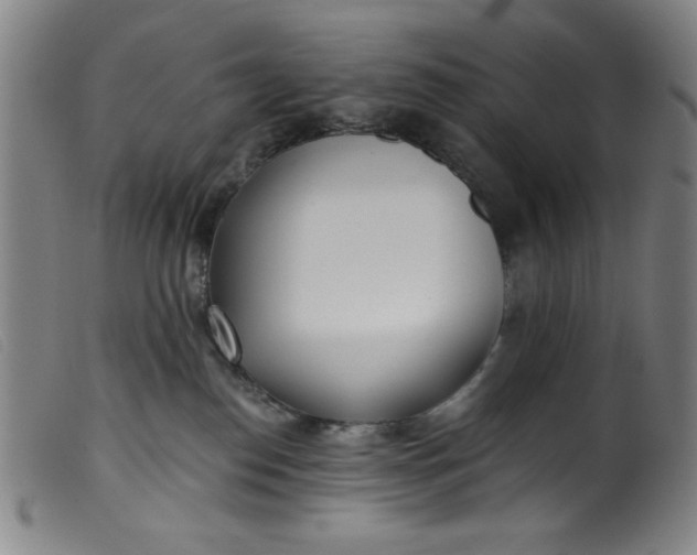 X0000099320186200805161409