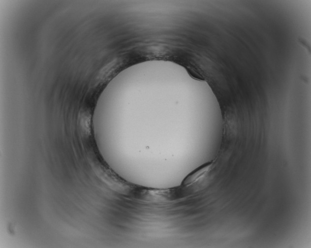 X0000099320188200805161409