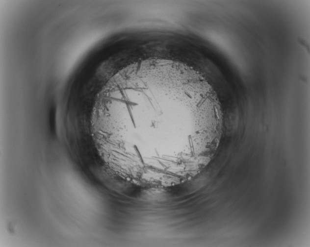 X0000099320189200805161409