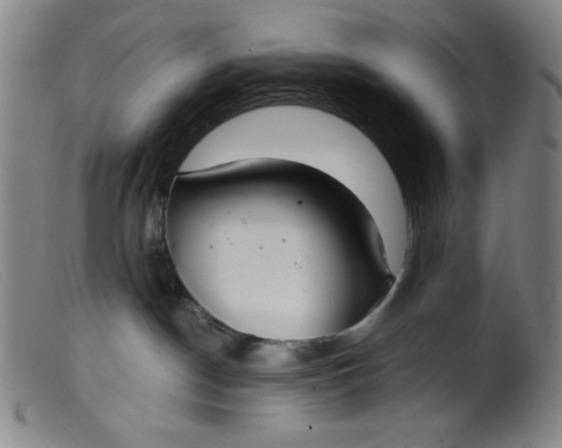 X0000099320190200805161409