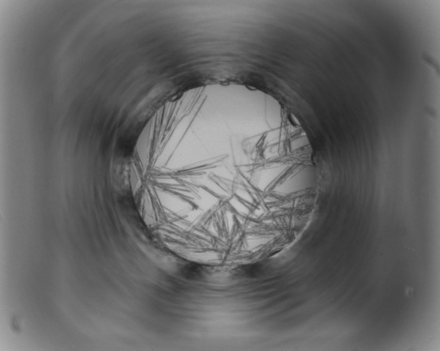 X0000099320191200805161409