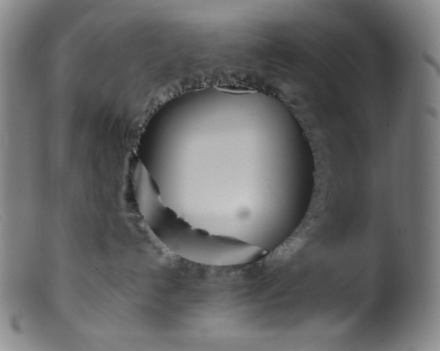 X0000099320192200805161409