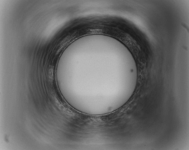 X0000099320194200805161408