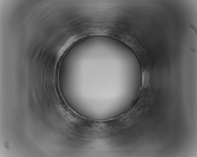 X0000099320195200805161408