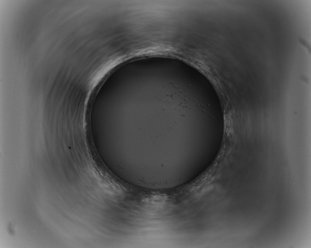 X0000099320196200805161408