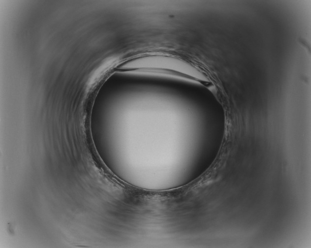 X0000099320197200805161408