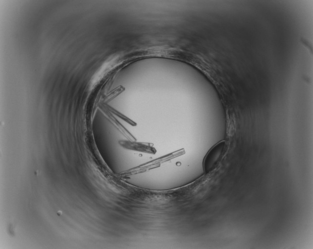 X0000099320198200805161408