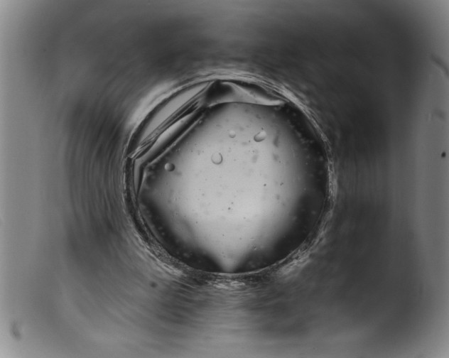 X0000099320199200805161408